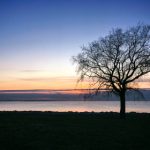 全面解析网赌平台大全,助你找到最佳游戏平台 4v5jqcw