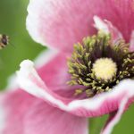 凤彩娱乐:探索多元化娱乐体验的全新平台 78484j