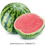 创世红海游戏官网:带你进入虚拟世界的冒险旅程 aig456qld2