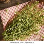 全面解析问鼎娱乐在线下载的功能与优势,助你畅享游戏乐趣 c2zg9kme