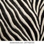 利博平台的安全性分析:如何保障玩家的资金安全 d96pb