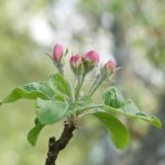 全面解析7981com:用户体验与功能特点的深度剖析 i6vv3