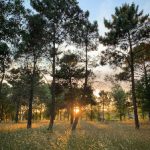 创世红海娱乐的崛起:如何引领未来娱乐趋势 nv3bo6