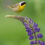 全面解读亚新体育网站:用户注册与使用指南详解 wjs514z28