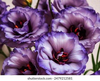 38期开奖结果震撼揭晓,幸运号码花落谁家? 38期开奖结果震撼揭晓,幸运号码花落谁家?