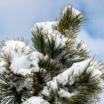 3794期开奖结果最新公布,速来查看中奖详情 1232jky1g6