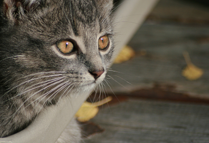 38号直播现场:独家揭秘背后的精彩看点 38号直播现场:独家揭秘背后的精彩看点