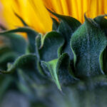 377开奖号前后关联走势分析与预测 9h5pk9fn