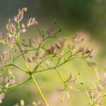 3909期彩票开奖结果最新公布,快来看看你中奖了吗? btj3m0cn78