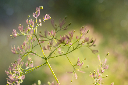 3909期彩票开奖结果最新公布,快来看看你中奖了吗? 3909期彩票开奖结果最新公布,快来看看你中奖了吗?
