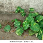 378开奖结果揭晓,幸运号码震撼公布 ki85k5ult9