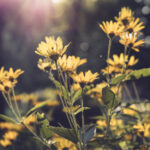 3888开奖结果最新揭晓,幸运号码震撼公布 pgxgw