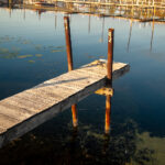 3834期最新开奖结果已公布,速来查看详细号码 zcwetttbrd